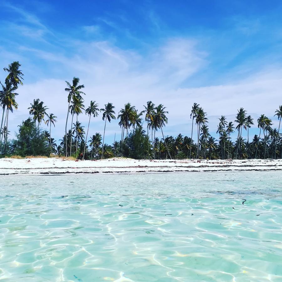Kae Funk Zanzibar Hotell Michamvi Eksteriør bilde